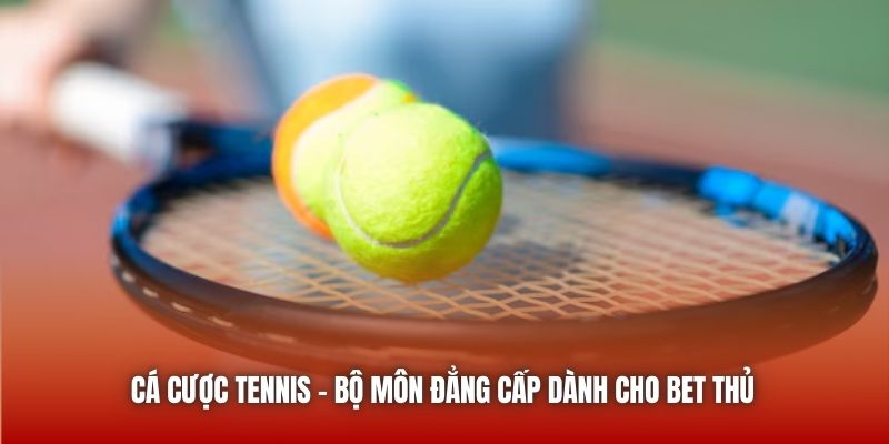 Cá cược Tennis - Bộ môn đẳng cấp dành cho bet thủ