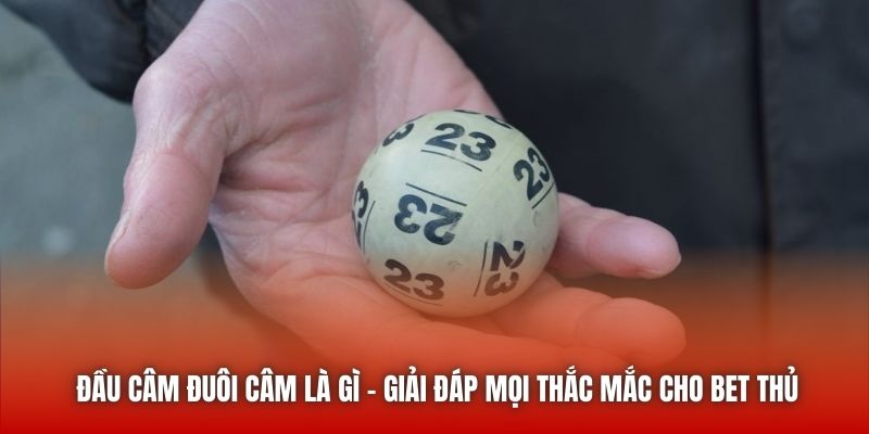 Đầu Câm Đuôi Câm Là Gì - Giải Đáp Mọi Thắc Mắc Cho Bet Thủ