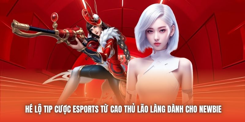 Hé Lộ Tip Cược eSports Từ Cao Thủ Lão Làng Dành Cho Newbie