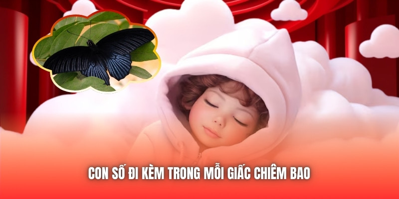 Con số đi kèm trong mỗi giấc chiêm bao