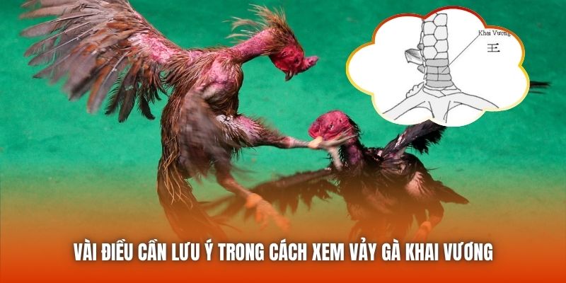 Vài điều cần lưu ý trong cách xem vảy gà khai vương